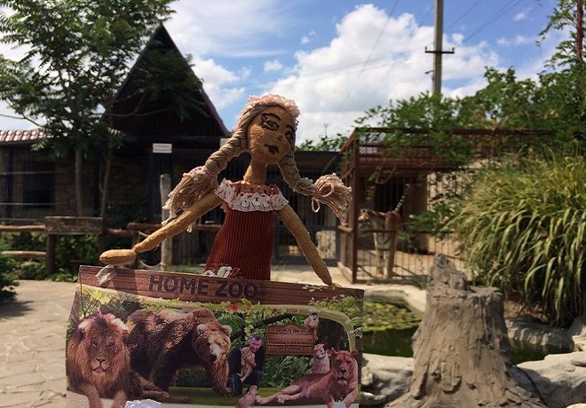 zoo
